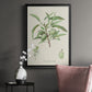 Antique Almond Botanical III - Modern Framed Canvas Print