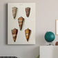 Cone Shell Collection II Premium Gallery Wrapped Canvas - Ready to Hang