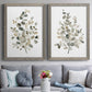 Neutral Eucalyptus I - Premium Framed Canvas 2 Piece Set - Ready to Hang