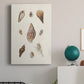 Knorr Shells & Coral IX - Canvas Art Print