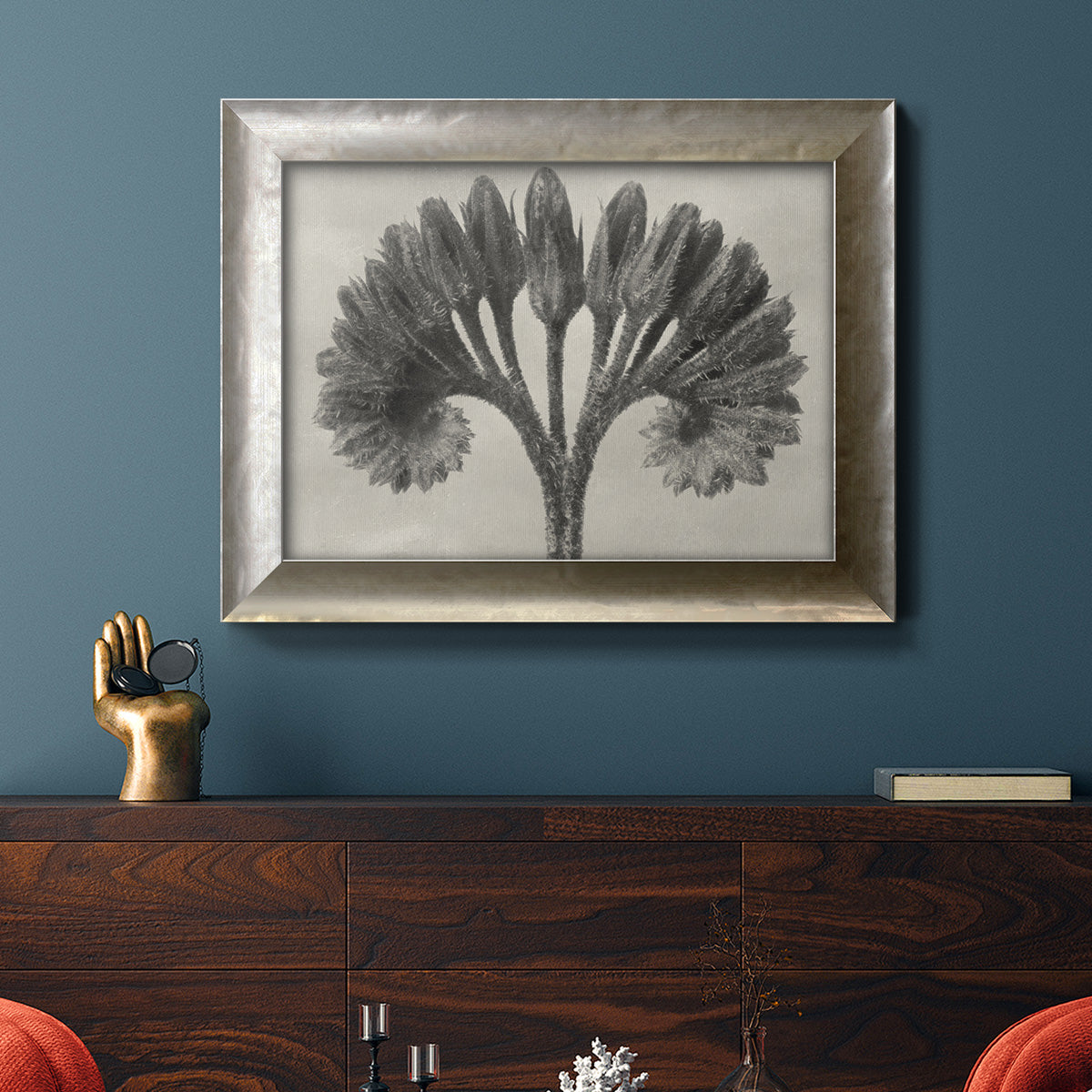 Vintage botanical plant study photograph by Karl Blossfeldt in an ornate mottled silver frame displayed in a dark-toned interior setting.