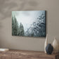 Snowfall in Cascadia II V1 - Canvas Art Print