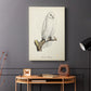 French Owls IV - Canvas Art Print