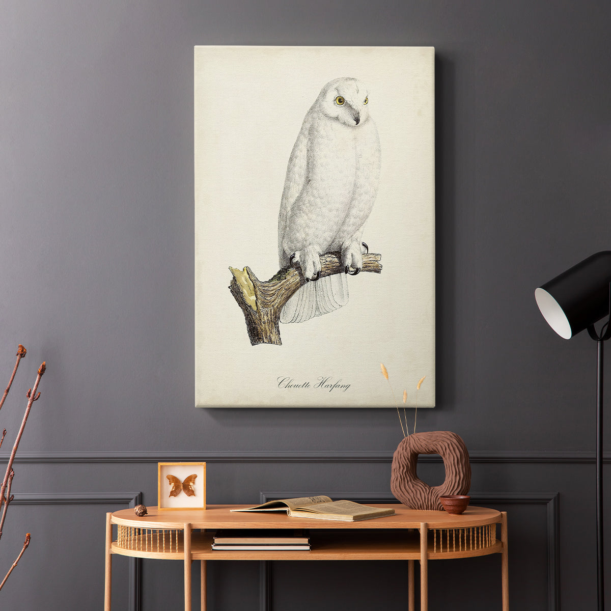 French Owls IV - Canvas Art Print