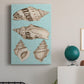 Sepia & Aqua Shells IV - Canvas Art Print