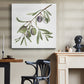 Olive Branch I - Canvas Art Print