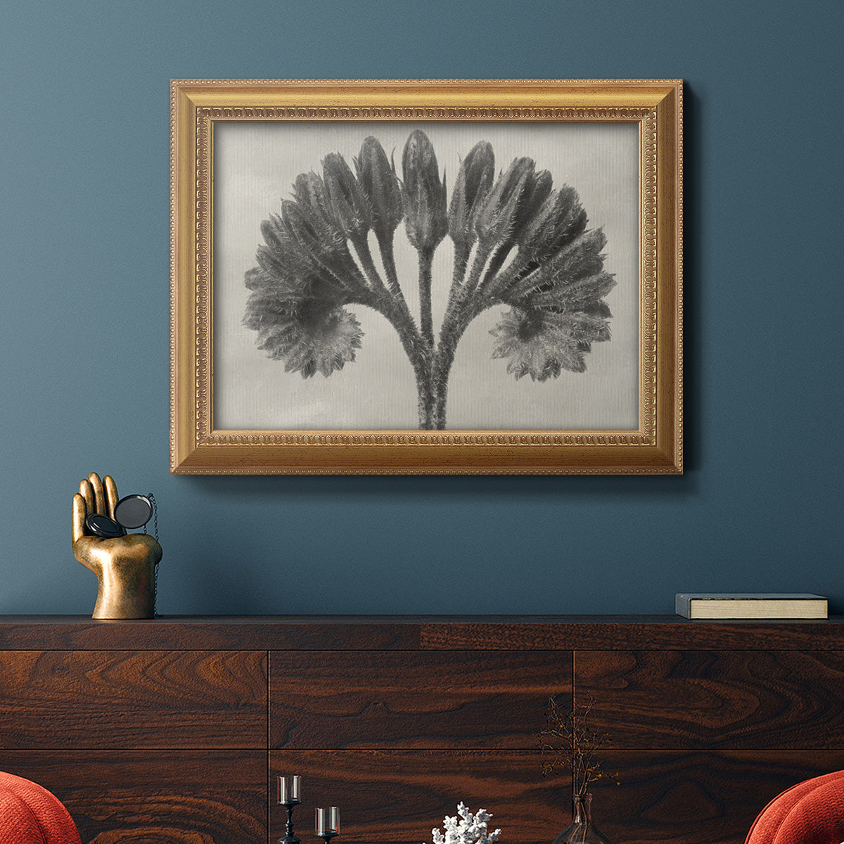 Vintage botanical plant study photograph by Karl Blossfeldt in an ornate antique gold frame displayed in a dark-toned interior setting.