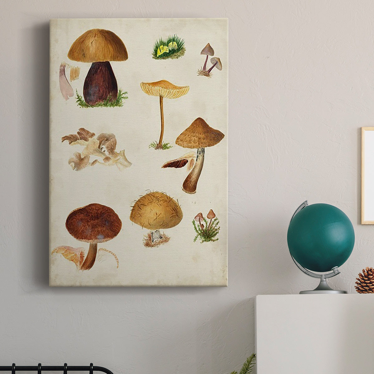 Mushroom Species II Premium Gallery Wrapped Canvas - Ready to Hang