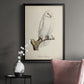 French Owls IV - Modern Framed Canvas Print