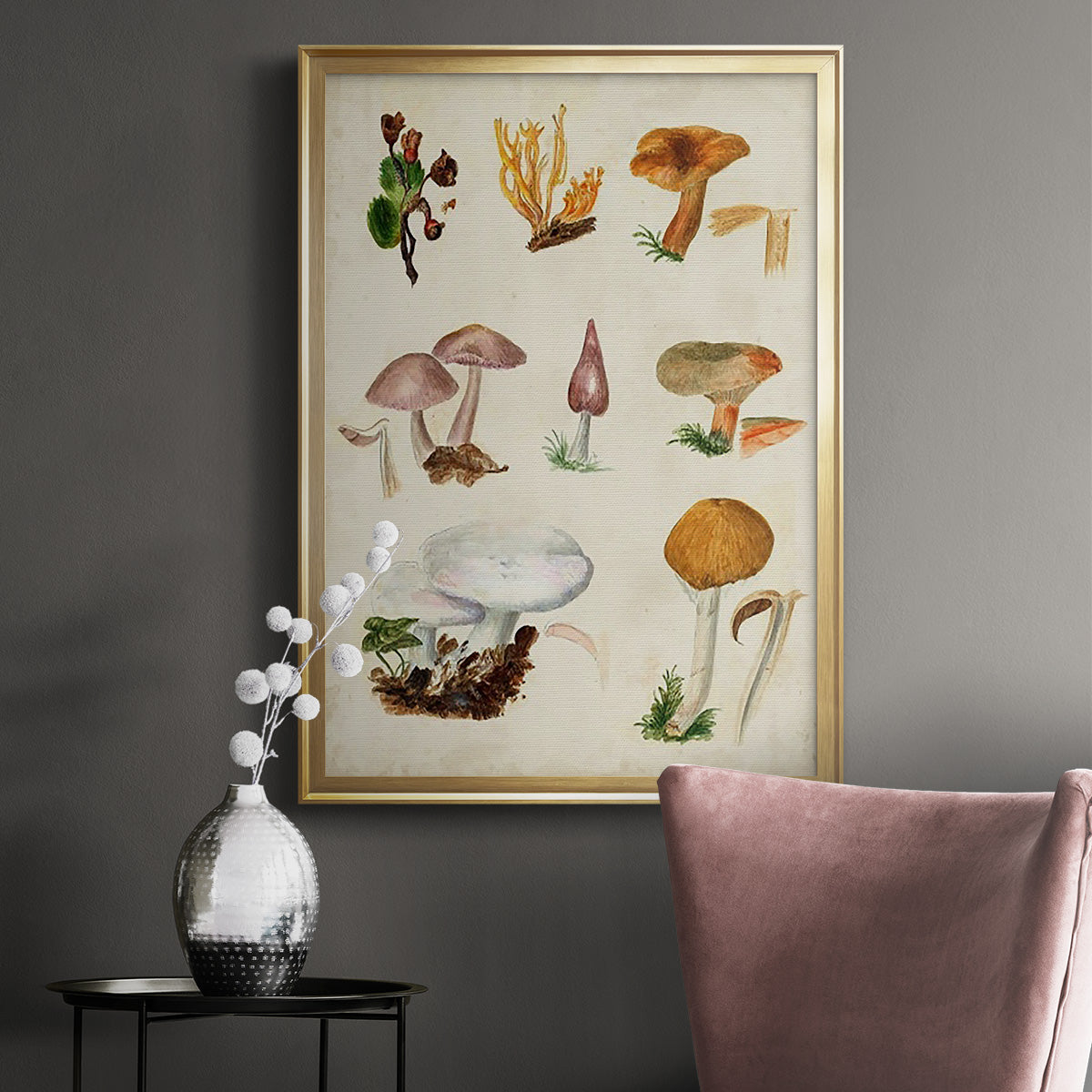 Mushroom Species VI - Modern Framed Canvas Print