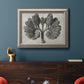 Monochrome botanical plant study photograph by Karl Blossfeldt in an ornate vintage silver frame displayed in a dark-toned interior setting.