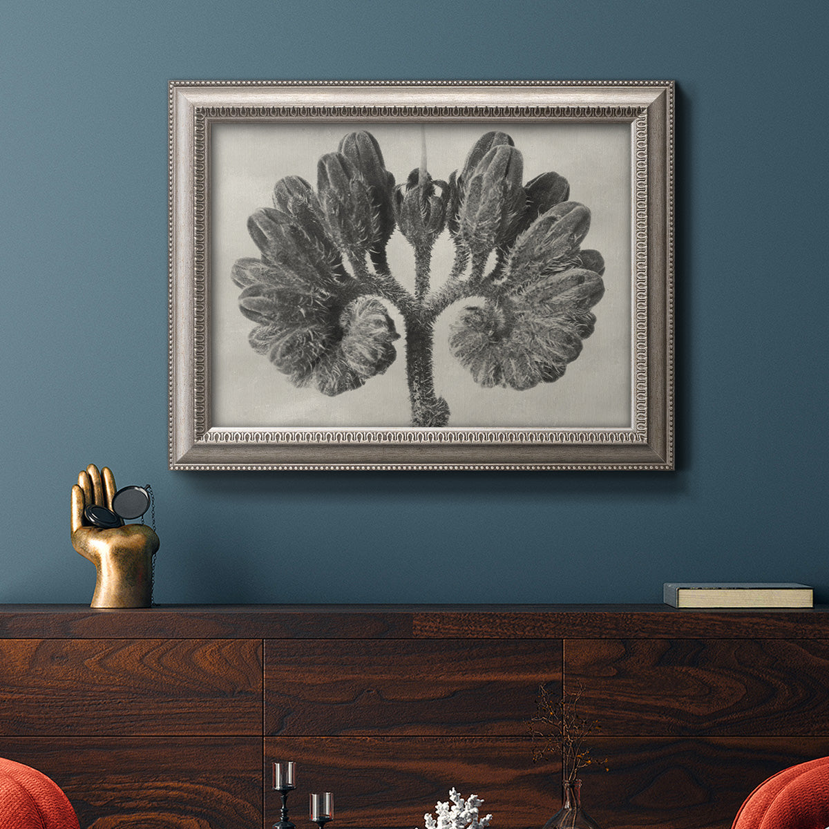 Monochrome botanical plant study photograph by Karl Blossfeldt in an ornate vintage silver frame displayed in a dark-toned interior setting.