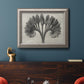 Vintage botanical plant study photograph by Karl Blossfeldt in an ornate vintage silver frame displayed in a dark-toned interior setting.