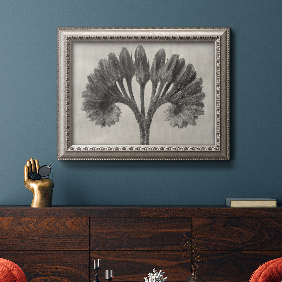 Vintage botanical plant study photograph by Karl Blossfeldt in an ornate vintage silver frame displayed in a dark-toned interior setting.