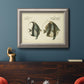 Antique fish species illustration diagram in an ornate vintage silver frame displayed in a dark-toned interior setting.