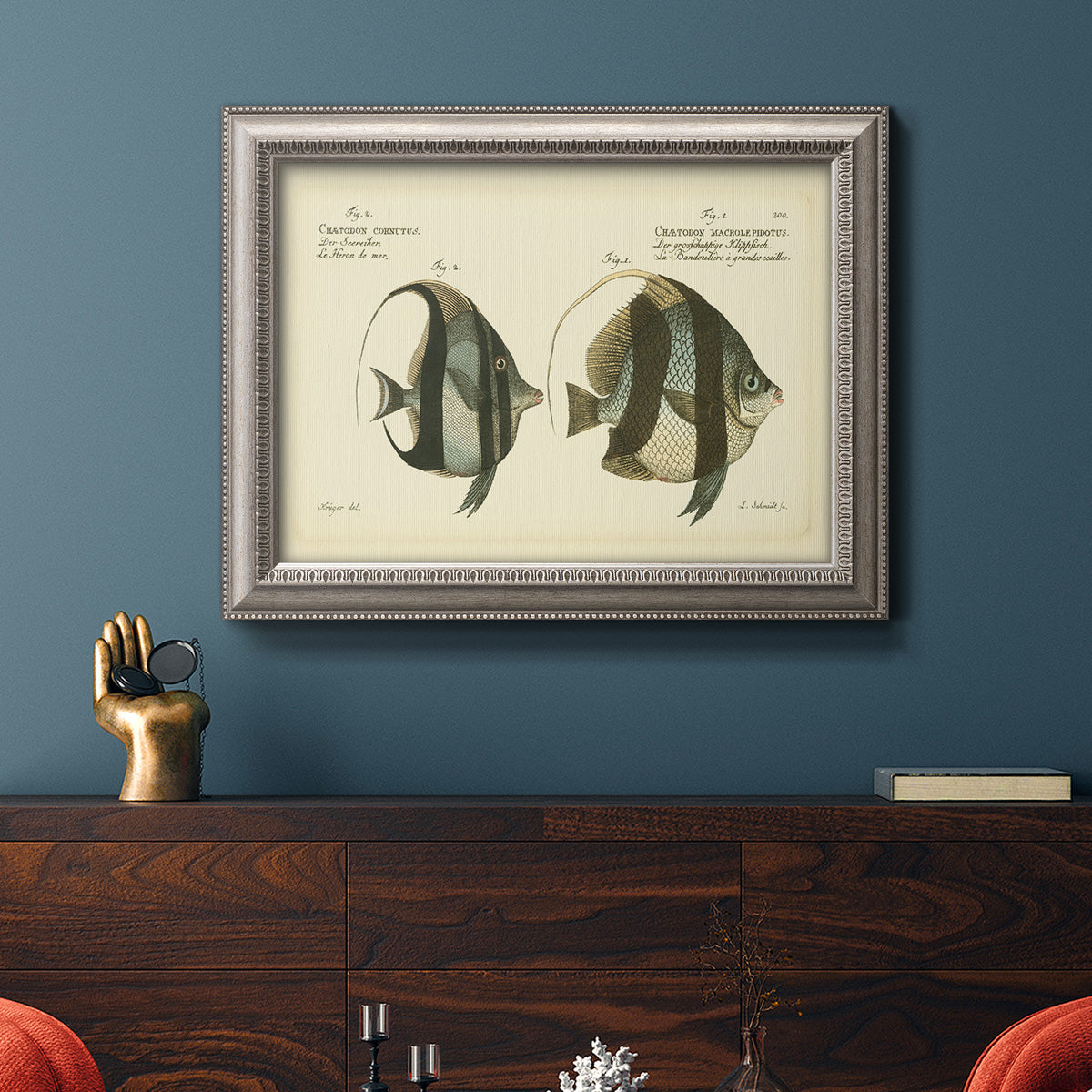 Antique fish species illustration diagram in an ornate vintage silver frame displayed in a dark-toned interior setting.