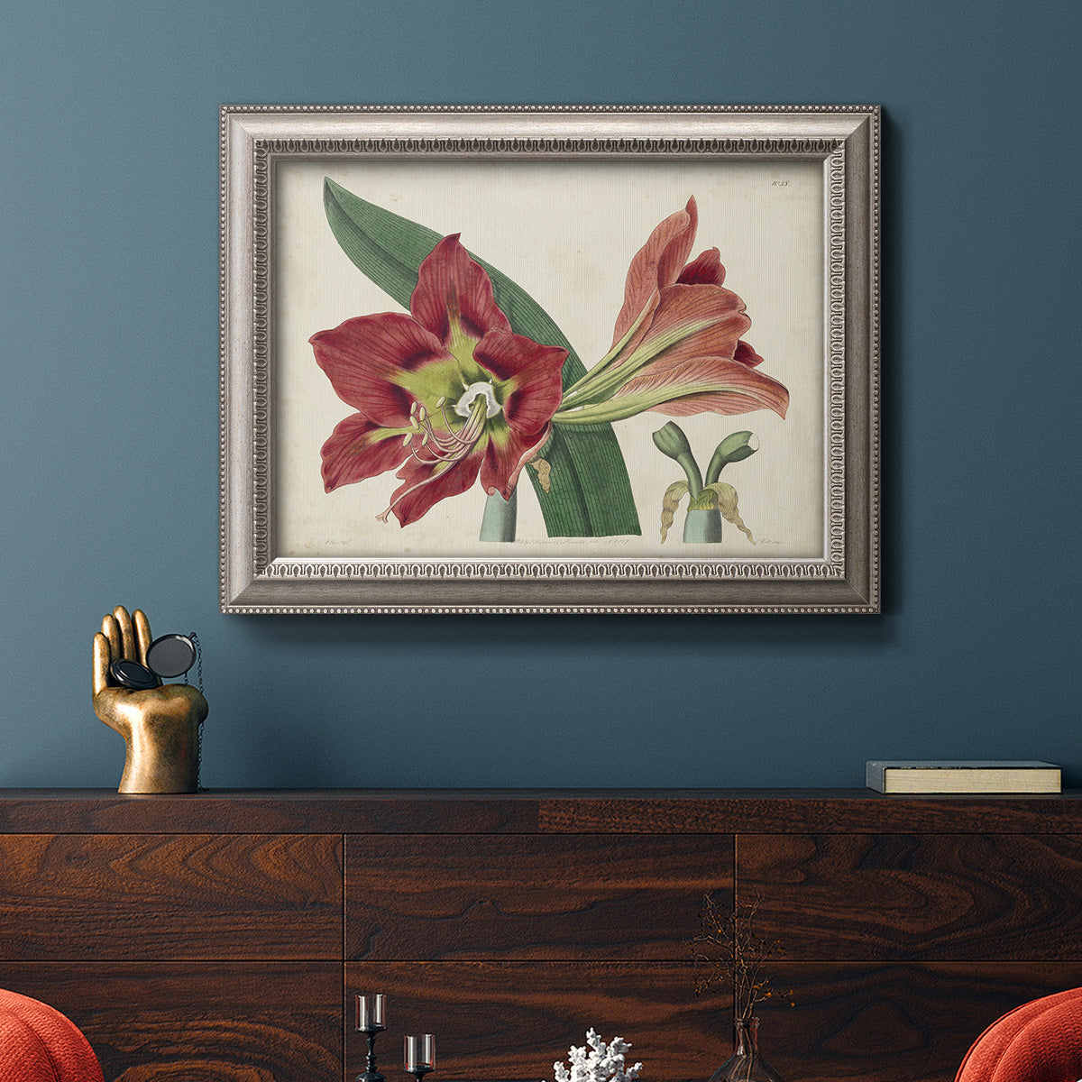Antique amaryllis botanical flower illustration in an ornate vintage silver frame displayed in a dark-toned interior setting.