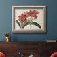 Vintage amaryllis botanical illustration in an ornate vintage silver frame displayed in a dark-toned interior setting.