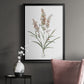 Dainty Botanical I - Modern Framed Canvas Print