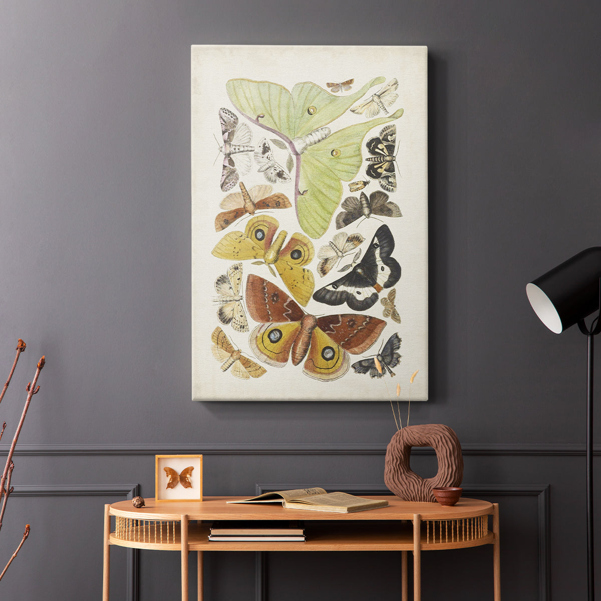 Antique Moths I - Canvas Art Print