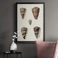 Cone Shell Collection III - Modern Framed Canvas Print