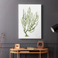 Coral Souvenirs III - Canvas Art Print