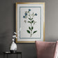 Shabby Chic Botanical II - Modern Framed Canvas Print