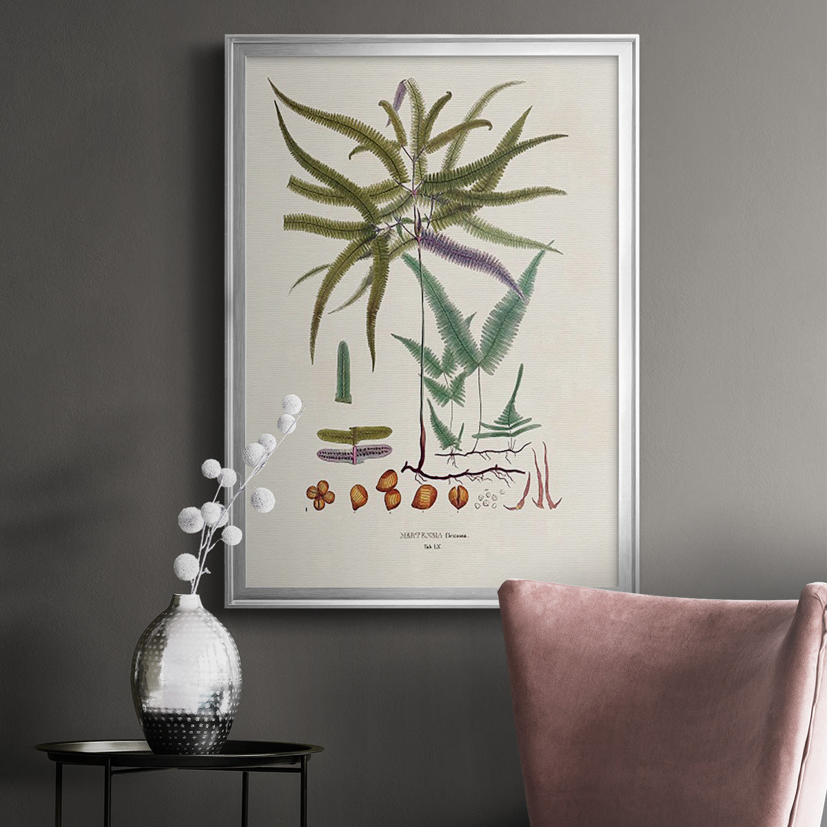 Botanical Society Ferns VIII - Modern Framed Canvas Print