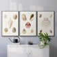 Pastel Knorr Shells I - Framed Premium Gallery Wrapped Canvas L Frame 3 Piece Set - Ready to Hang