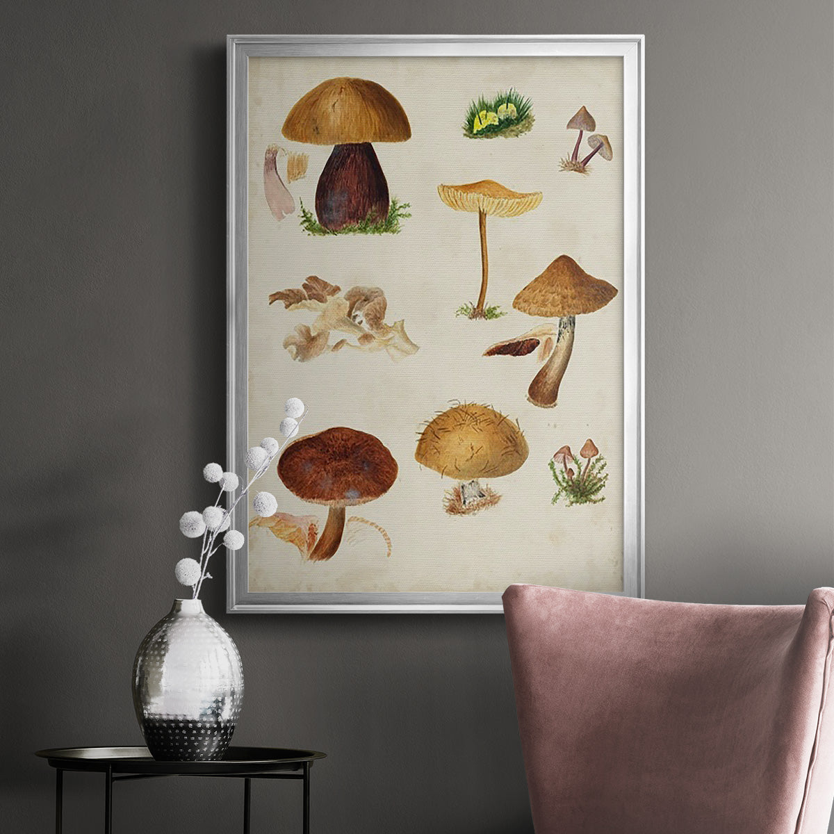 Mushroom Species II - Modern Framed Canvas Print