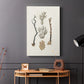 Knorr Shells & Coral V - Canvas Art Print
