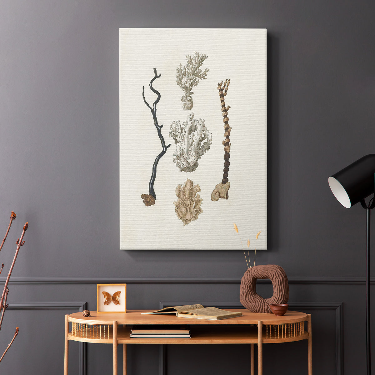 Knorr Shells & Coral V - Canvas Art Print