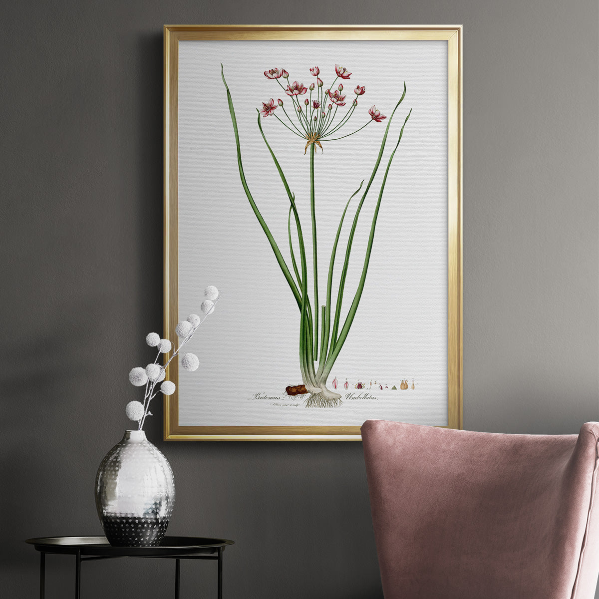 Rose Botanical II - Modern Framed Canvas Print