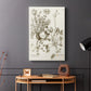 Sepia Botanical Journal IX - Canvas Art Print
