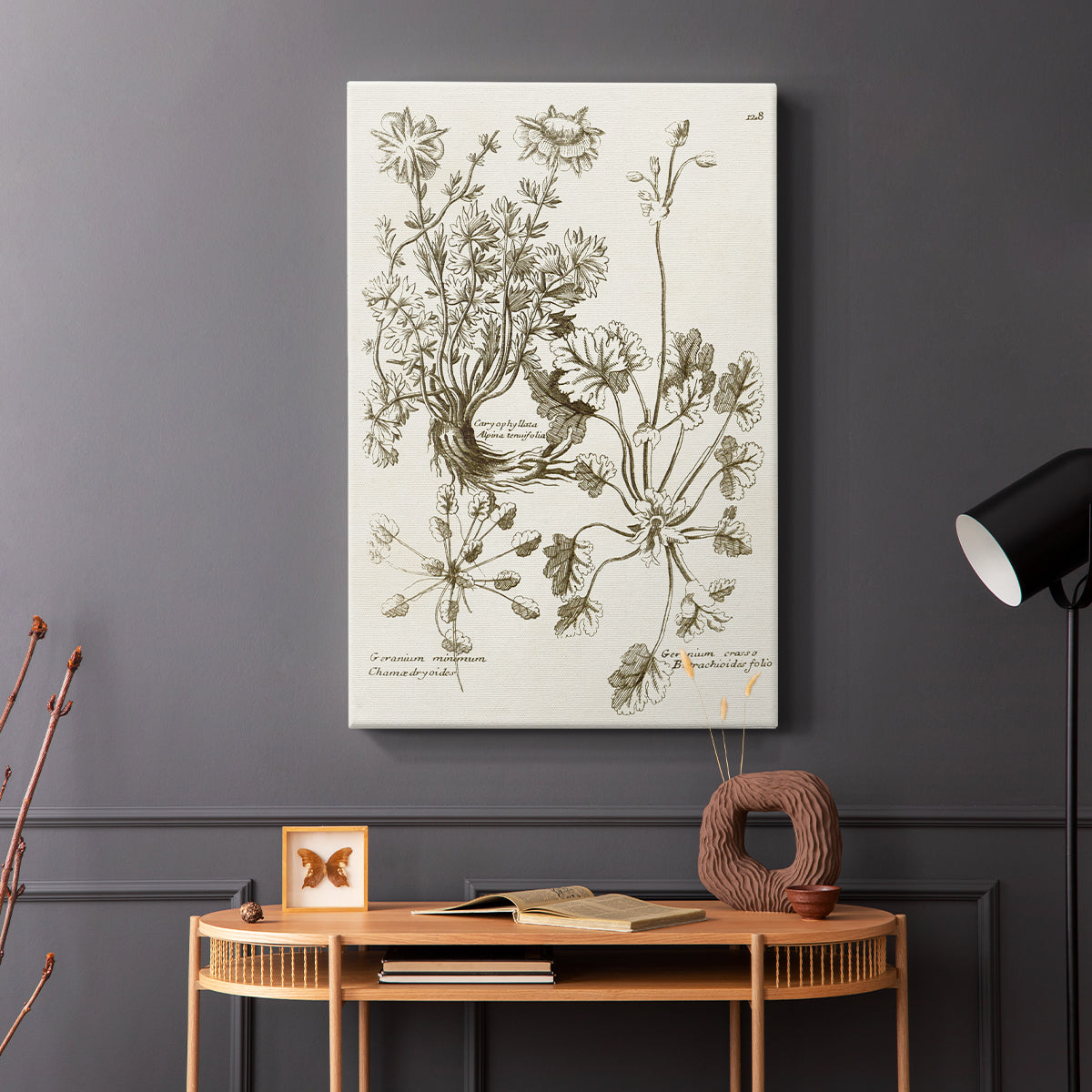 Sepia Botanical Journal IX - Canvas Art Print