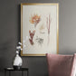 Knorr Shells & Coral VII - Modern Framed Canvas Print