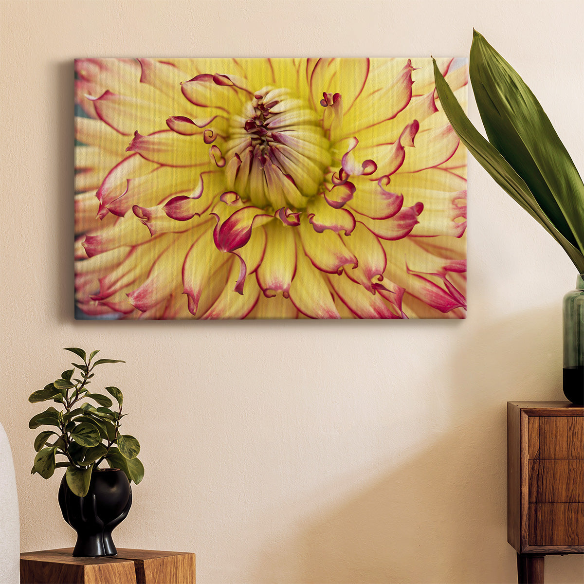 Blooms II Premium Gallery Wrapped Canvas - Ready to Hang