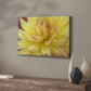 Blooms I - Canvas Art Print