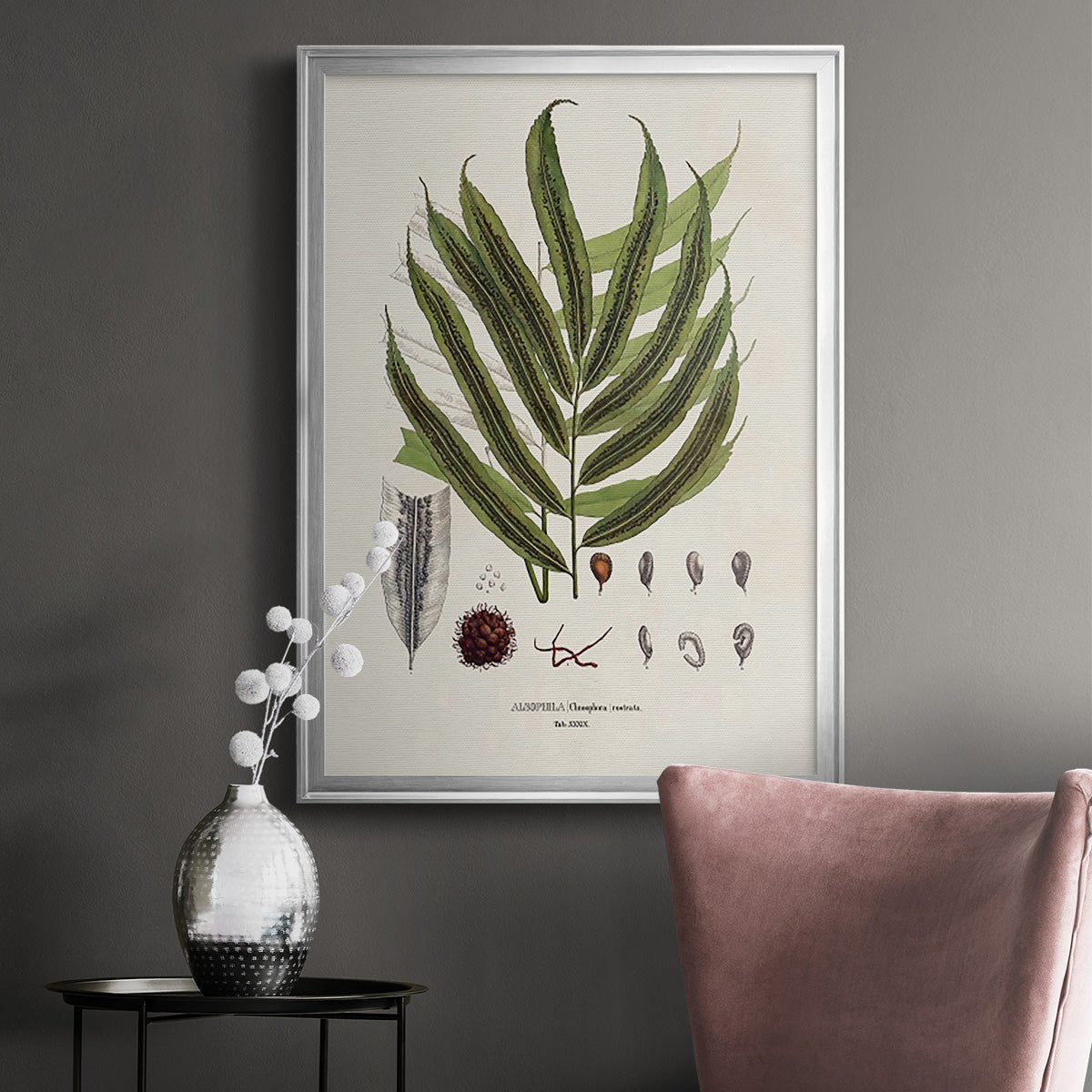 Botanical Society Ferns II - Modern Framed Canvas Print