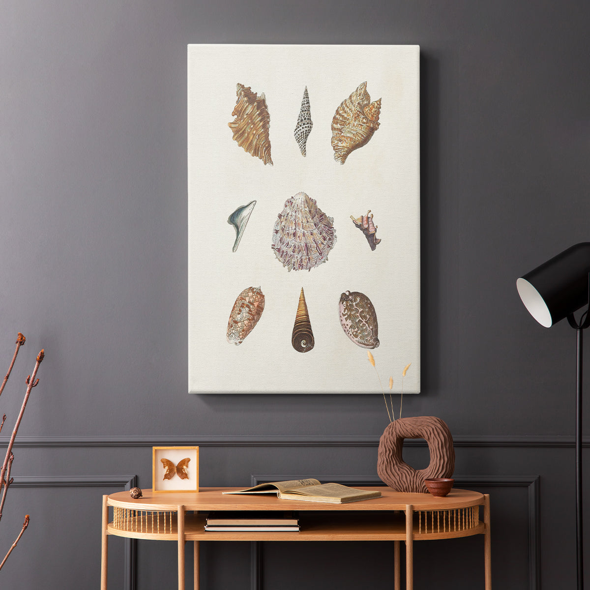 Knorr Shells & Coral VI - Canvas Art Print