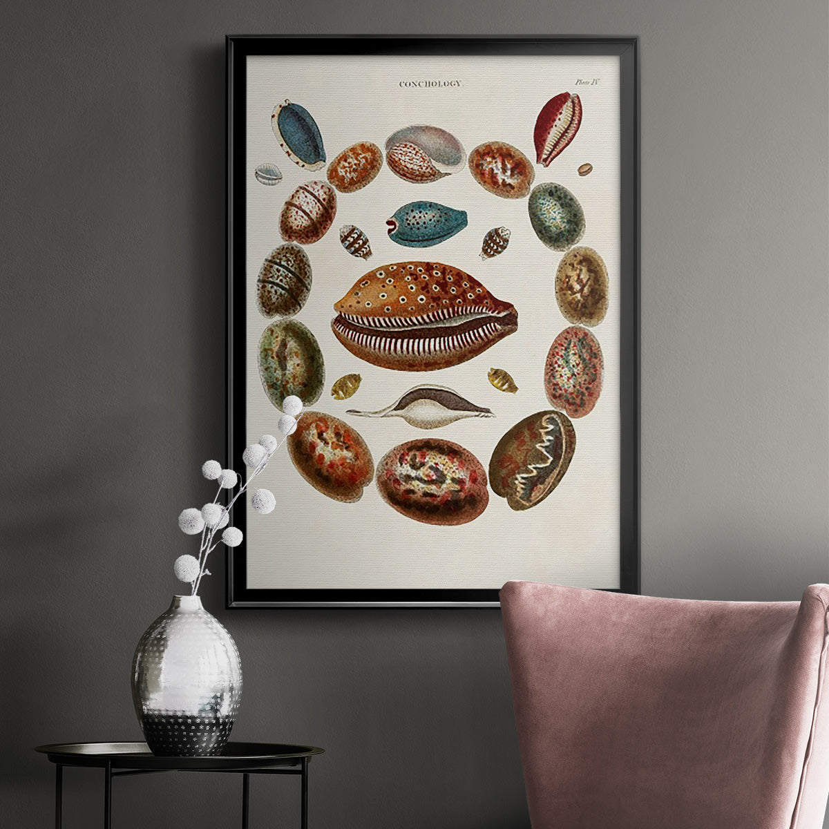 Spiral Shell Formation II - Modern Framed Canvas Print