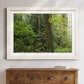 Calm of the Forest - Barnwood Framed Art Print