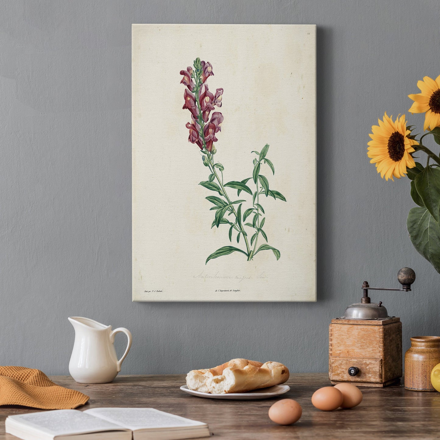 Traditional Botanical I Premium Gallery Wrapped Canvas - Ready to Hang