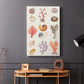 Coral & Shell Collage I - Canvas Art Print