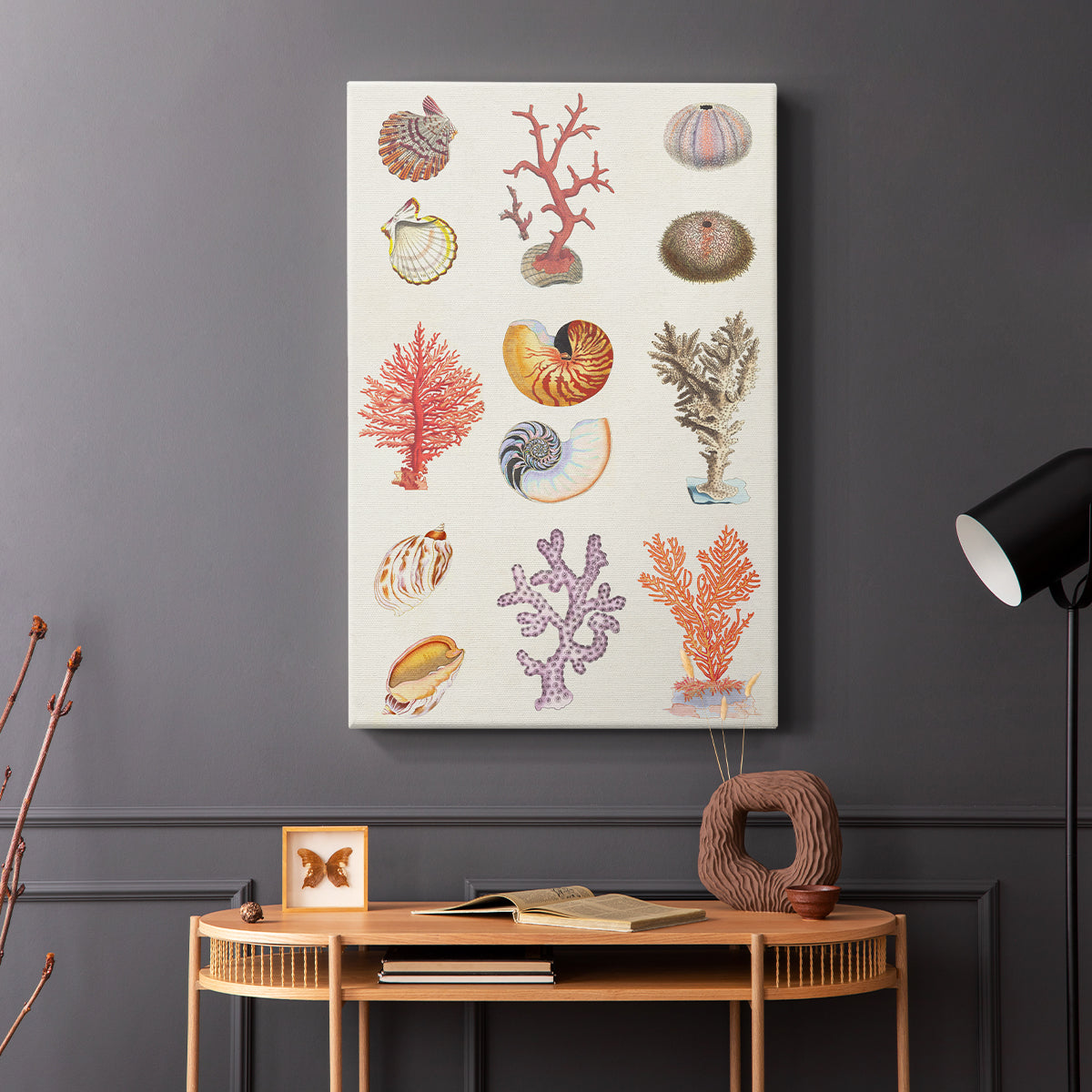 Coral & Shell Collage I - Canvas Art Print