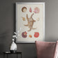 Knorr Shells & Coral II - Modern Framed Canvas Print