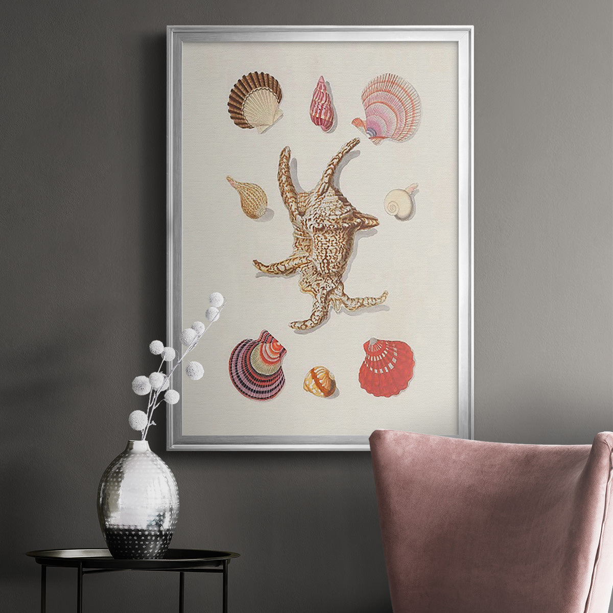 Knorr Shells & Coral II - Modern Framed Canvas Print