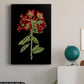 Crimson Flowers on Black (A) IV - Canvas Art Print