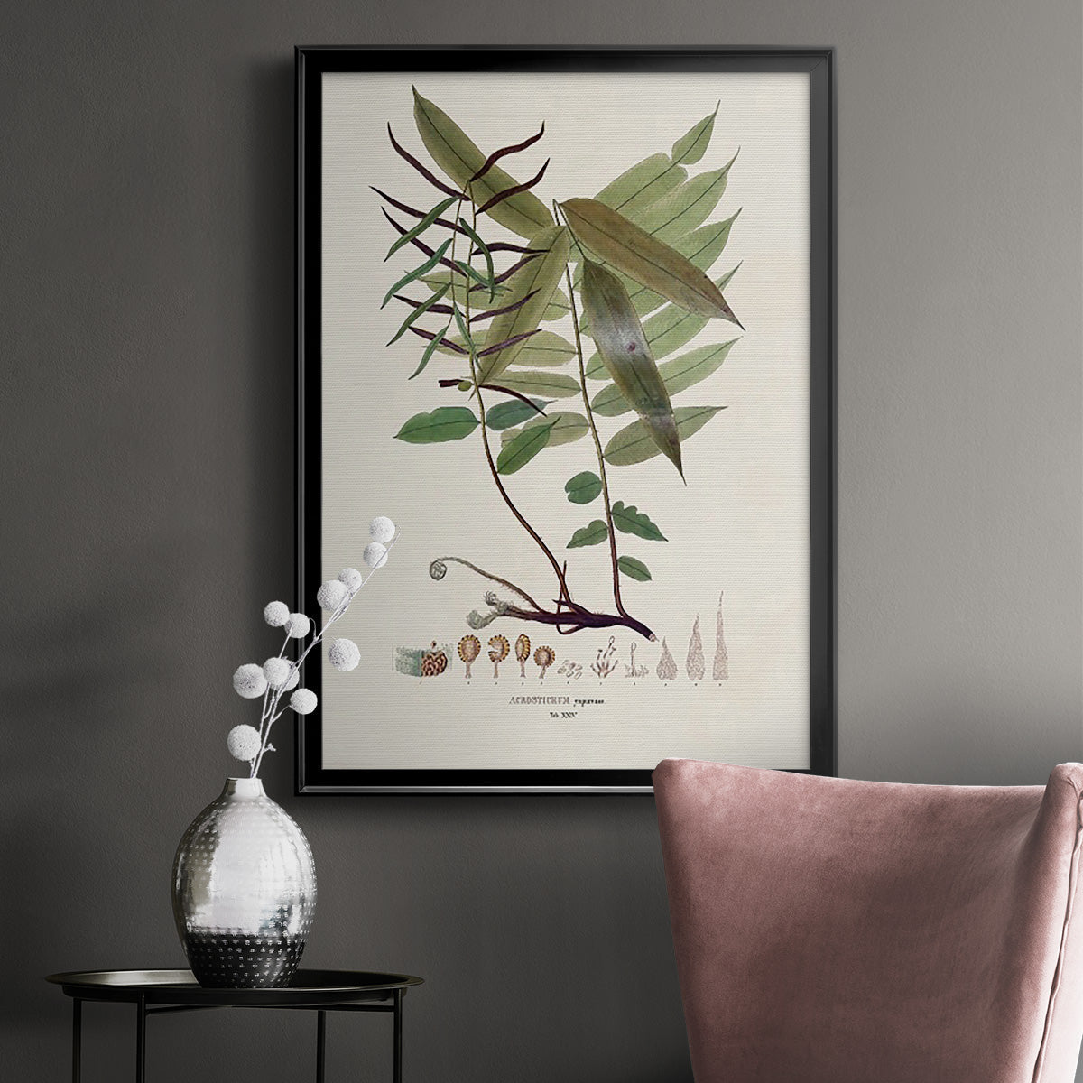 Botanical Society Ferns VI - Modern Framed Canvas Print