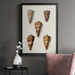 Cone Shell Collection II - Modern Framed Canvas Print
